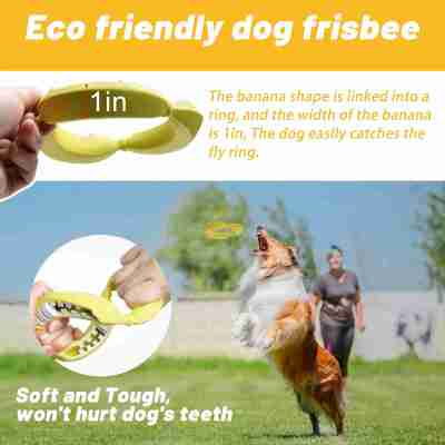 PetBuds Pet Teething Toys for Average Chewers | Circle Shape Teething Toys Profile Picture