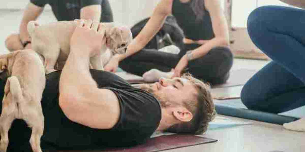 How Puppy Pose Yoga at Pups Yoga Can Improve Your Dog’s Behaviour