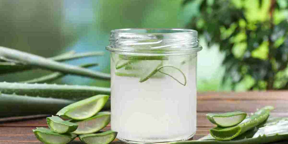 The Effects of Aloe Vera on the Liver: A Comprehensive Overview