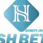 Shbet info