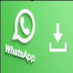 whats app com