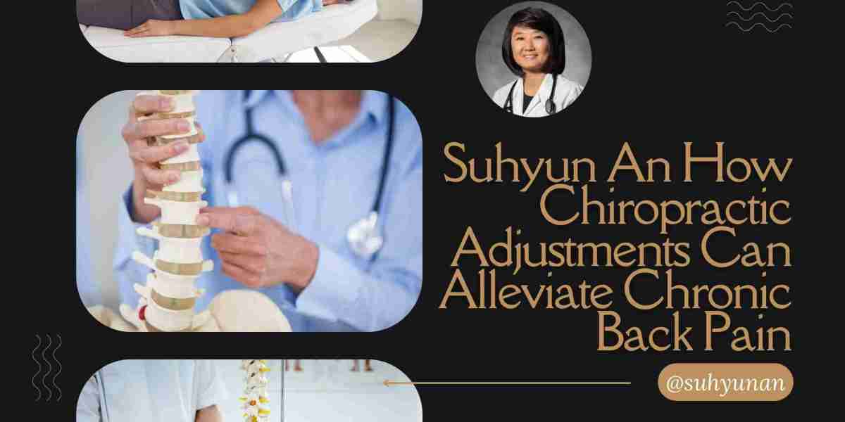 Suhyun An How Chiropractic Adjustments Can Alleviate Chronic Back Pain