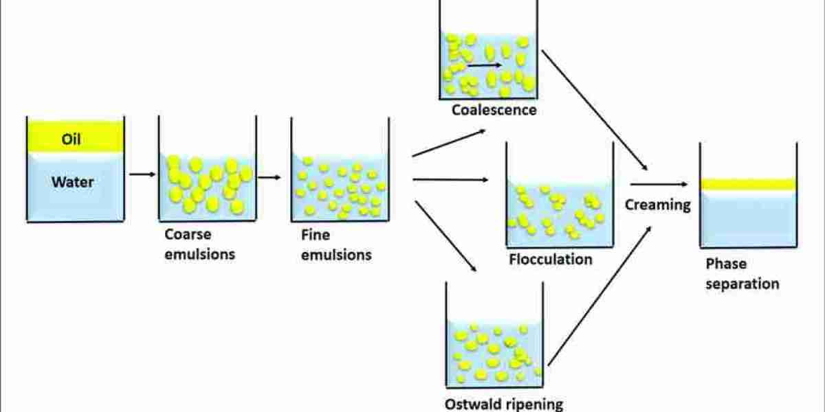 Nanoemulsion Market Report, Size,Trends, Growth Rate, Demand, Forecast 2024-2032