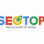 DỊCH VỤ SEO TỔNG THỂ SEOTOPVN