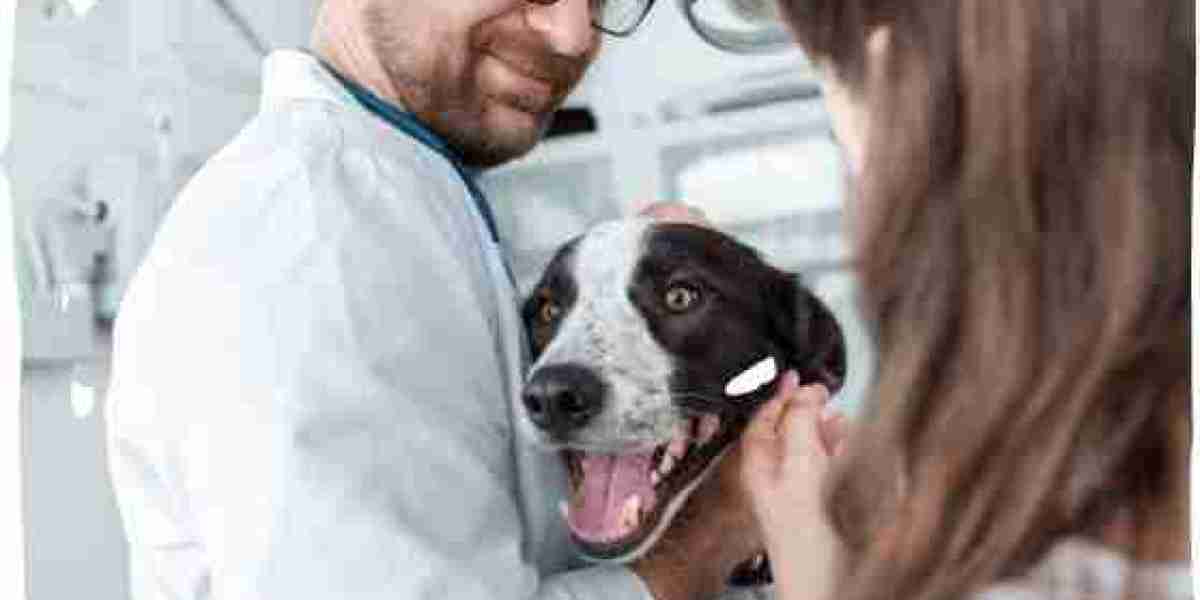 Veterinary Rapid Test Market Growth, Share, Opportunities & Competitive Analysis, 2024 – 2032