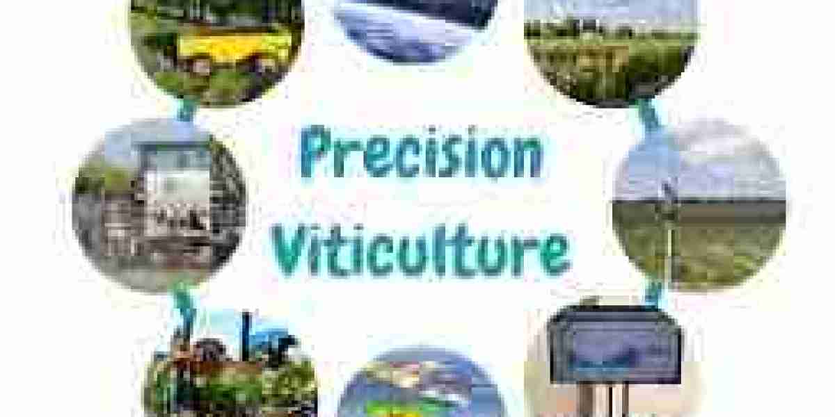 Precision Viticulture Market: Comprehensive study explores Huge Growth in Future