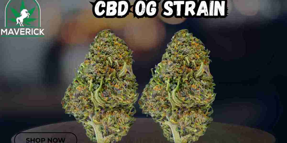 Discover the Ultimate CBD OG Strain: Why Maverick Dispo’s Alamo CBD OG Strain Stands Out