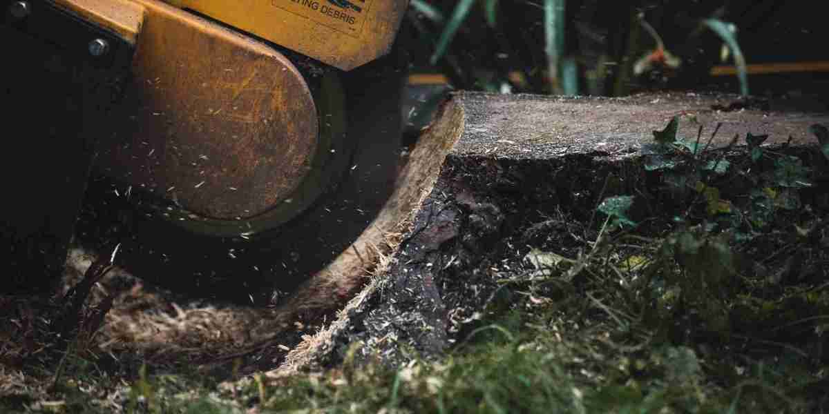 London Stump Grinding Removal North London