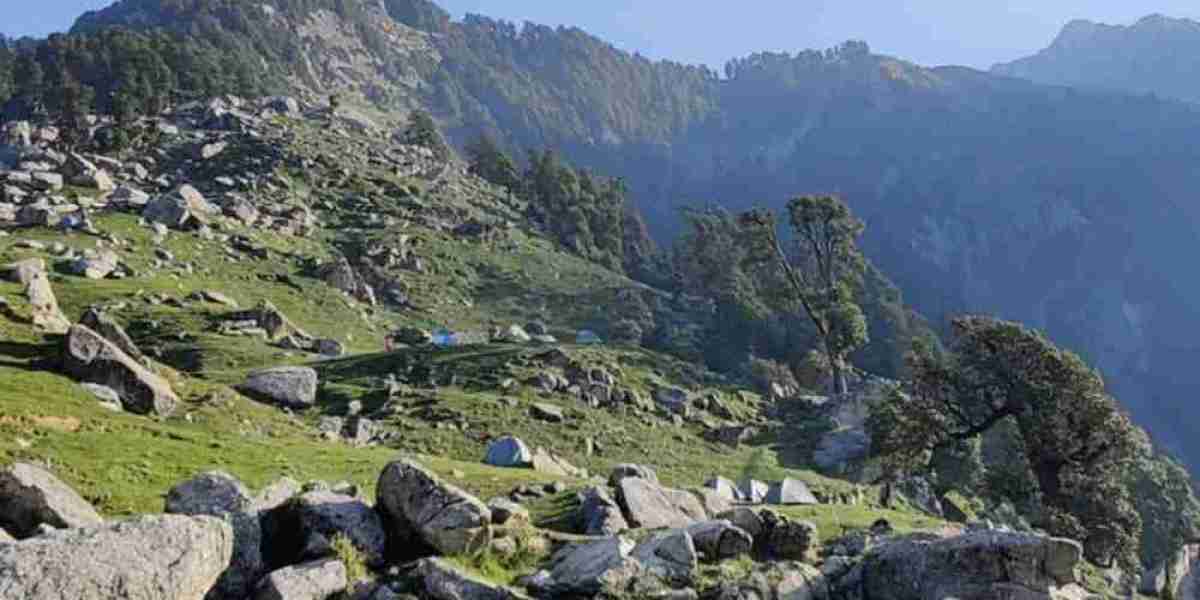 Best Campsites on the Triund Trek: Where to Stay