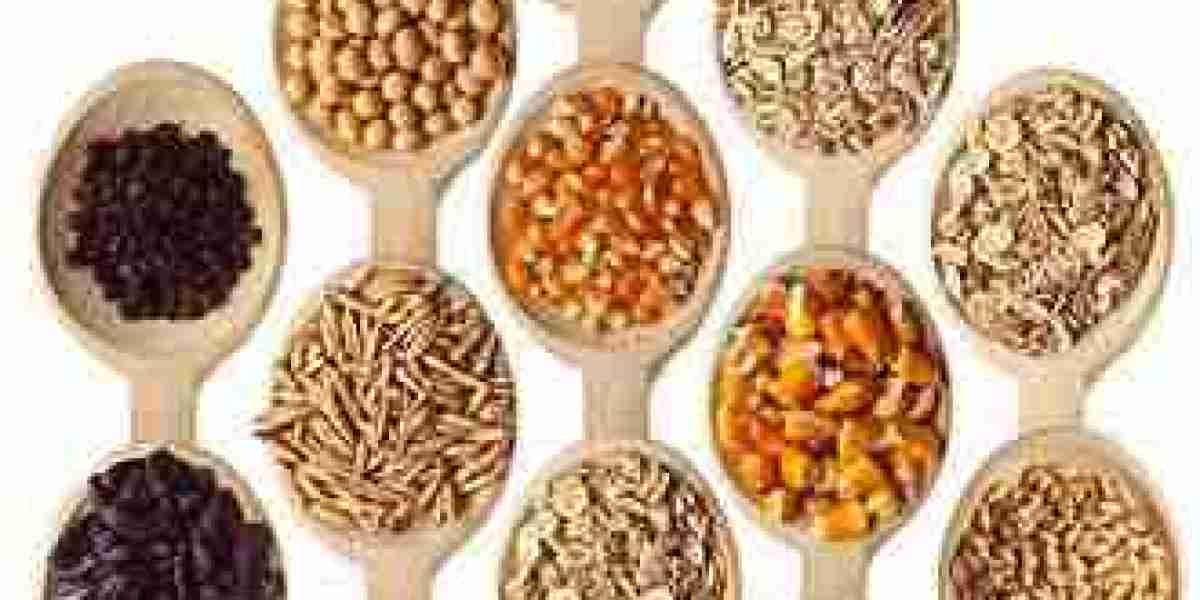 North America Seed Coating Materials Market begins to take bite out of Versioned Long Term Growth