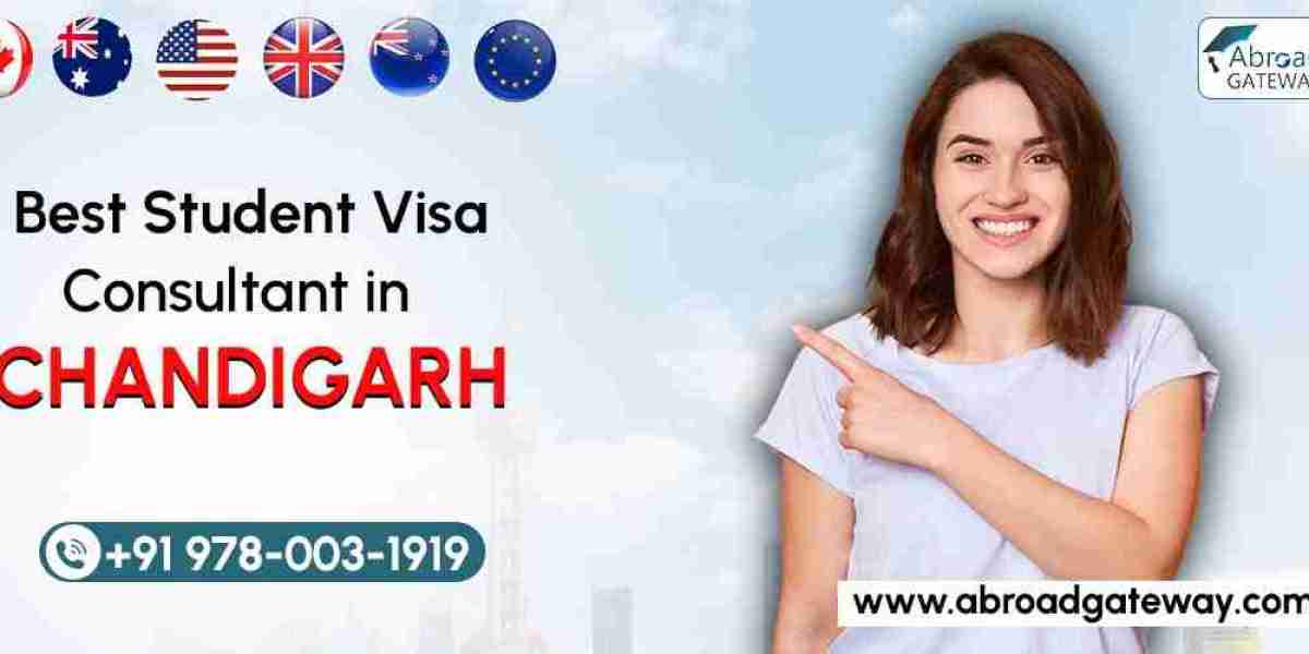 Advantages of Working with a Visa Agent in Chandigarh