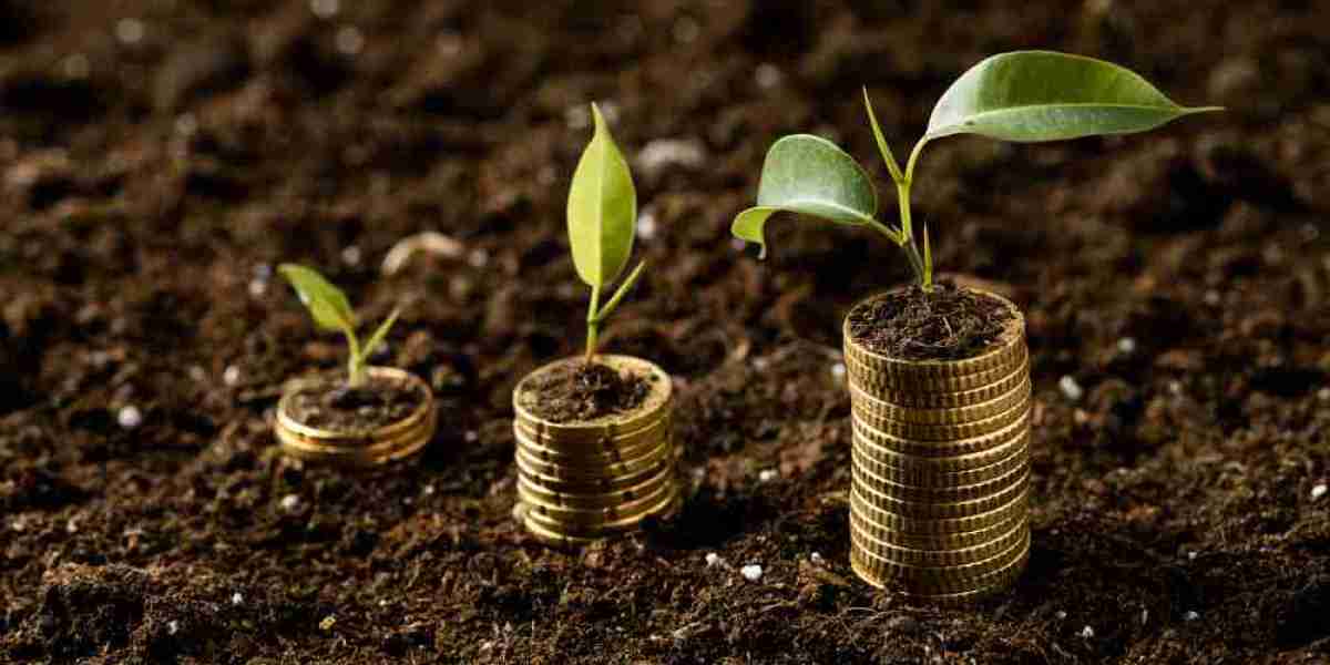 Global Microfinance Market: Key Trends, Growth Opportunities, and Future Outlook