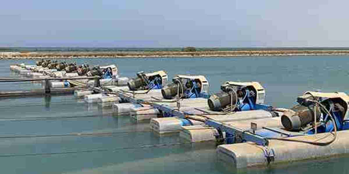 Saudi Arabia Aquaculture Market Comprehensive Analysis And Future Estimations 2032