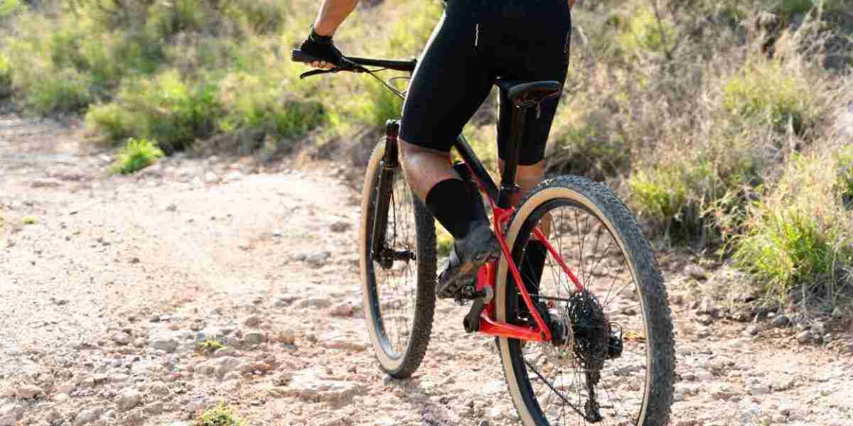 Cycling Shorts Market Trends and Research Report by 2024-2032