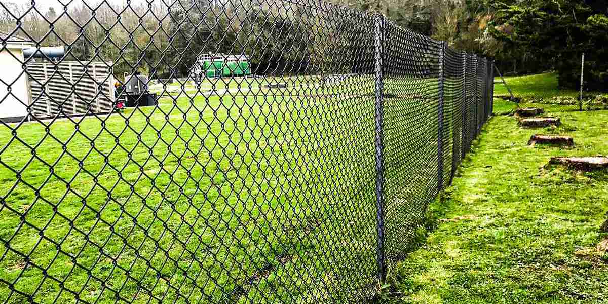 Why Chain Link Fences Are the Secret to Boosting Your Home’s Security