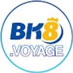 Bk8 Voyage Profile Picture