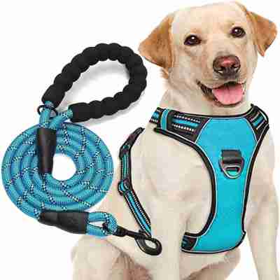 Adjustable No Pull Dog Harness with Padded Protection | Free 5ft Heavy Duty Dog Leash Profile Picture