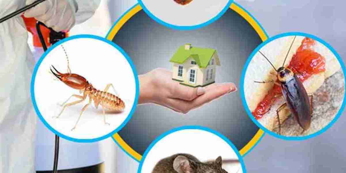 Discover the Best Pest Control Services in Chennai with PestOutServices – Your Trusted Local Solution