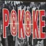 Pokoke Revolution