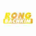 rongbachkim247 sh