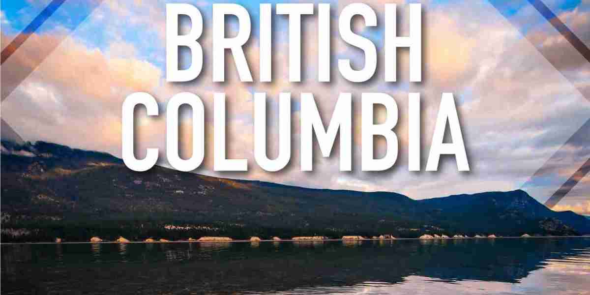 How to Effectively Use Advertising Tools on British Columbia Local