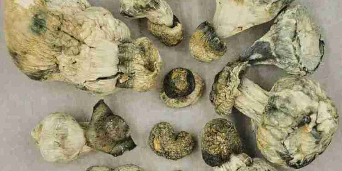 Blue Meanie Mushroom: Understanding the Psychedelic Power