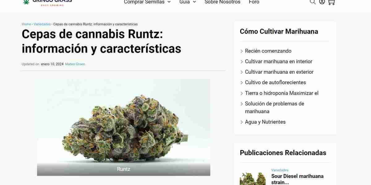 Cepas de cannabis Runtz