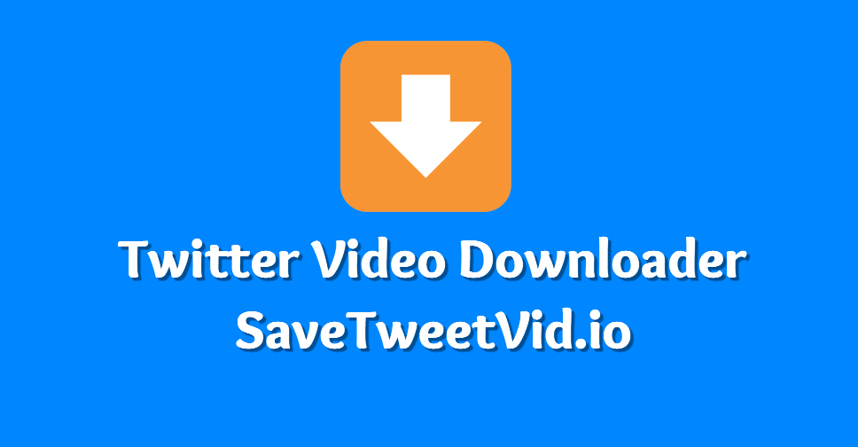 Twitter Video Downloader - Download Twitter Videos to MP4 & MP3