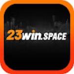 23win 23wintop Profile Picture