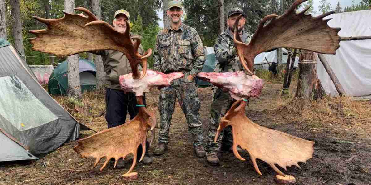 8 Reasons Caribou Hunting in Alaska Should Be Your Top Adventure Choice