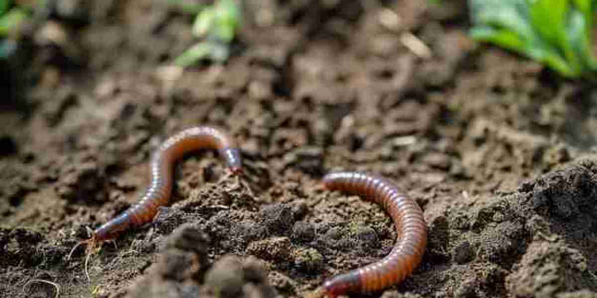 10 beneficios del humus de lombriz para tus plantas