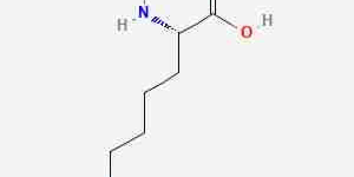 Global Lysine Market: Trends, Growth Drivers, and Future Outlook