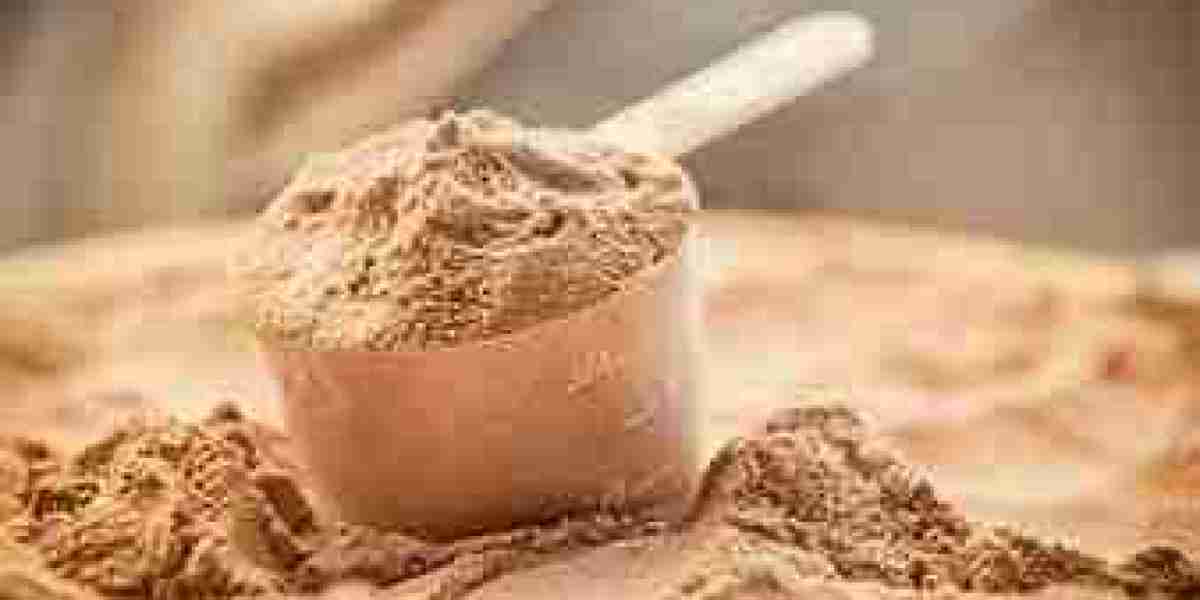 MEA Whey Protein Ingredients Market Comprehensive Analysis And Future Estimations 2032