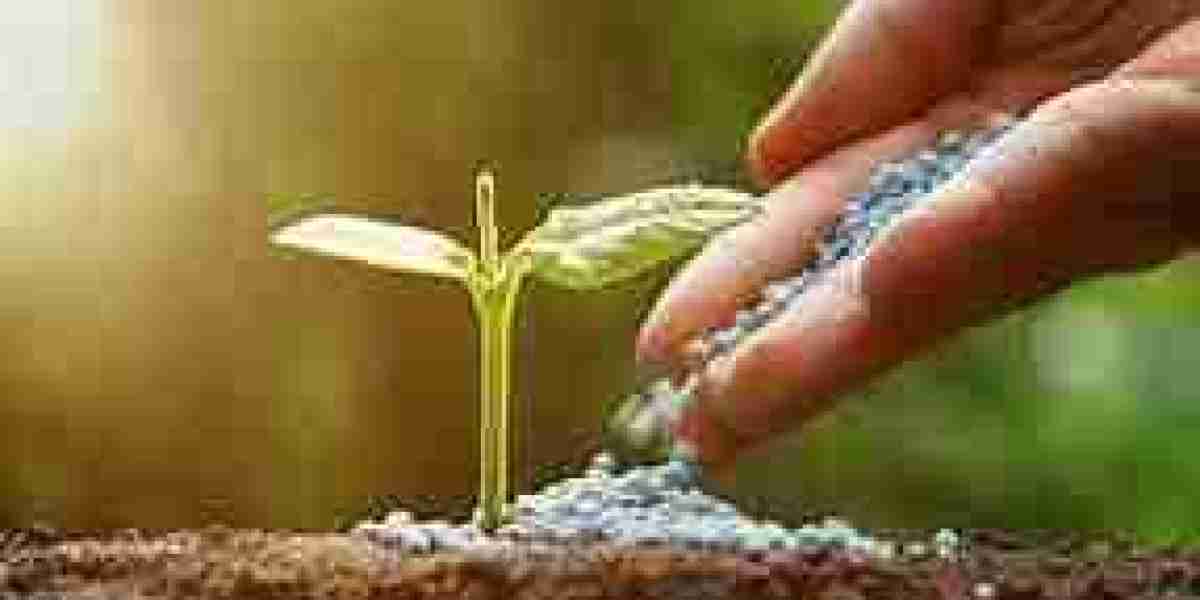 Europe Micronutrient Fertilizer Market To Witness Huge Growth By 2032