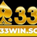 33WIN software