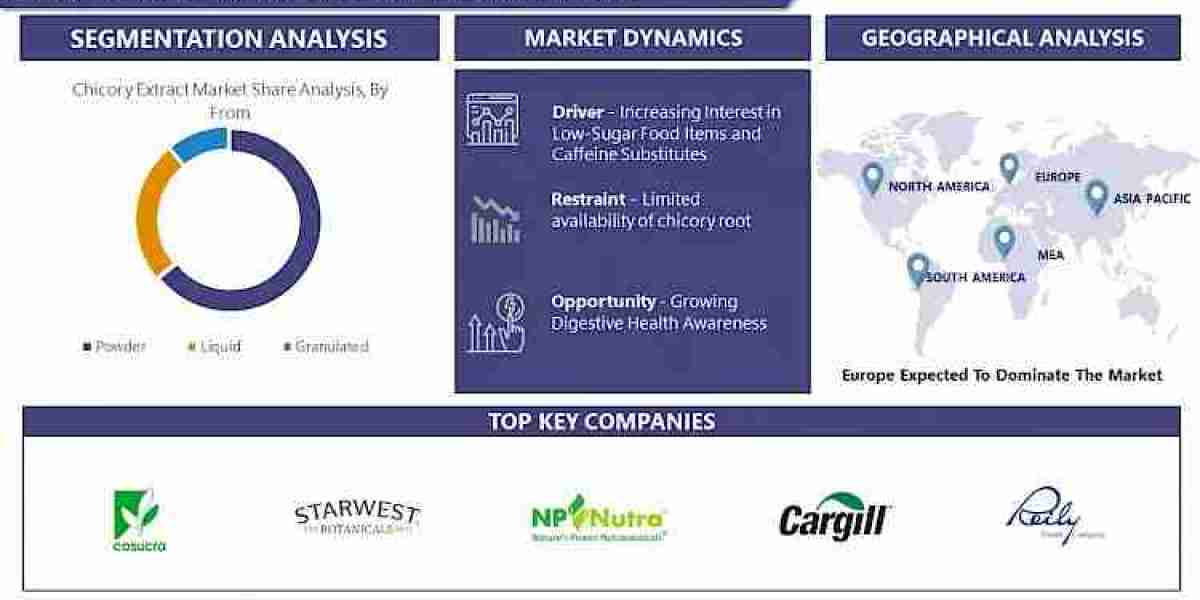 Chicory Extract Market Forecasting 2030: Market Trends and Growth Status