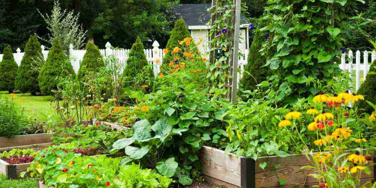 Raised Planter Boxes