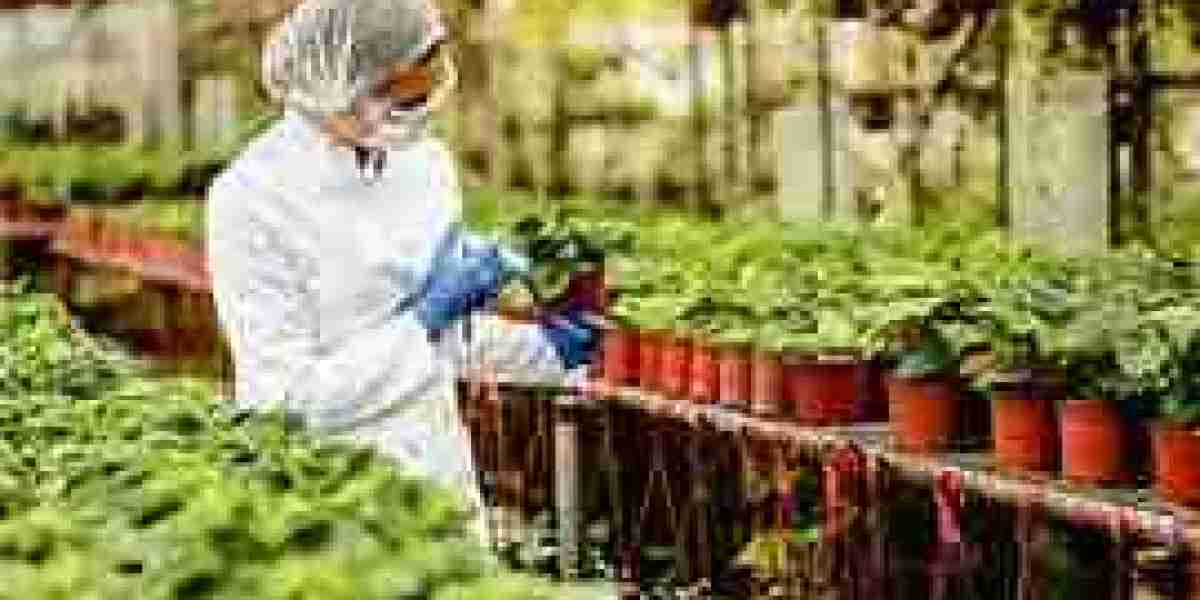 Europe Biofertilizer Industry Market looks to expand its size in Overseas Market