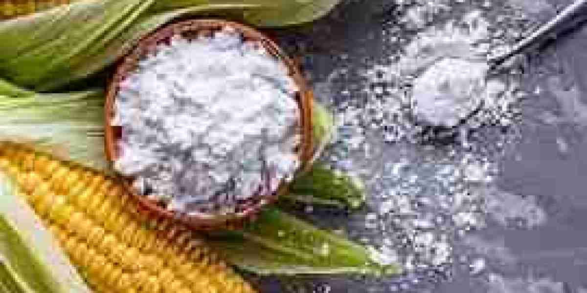 Starch Derivatives Market is Set To Fly High in Years to Come