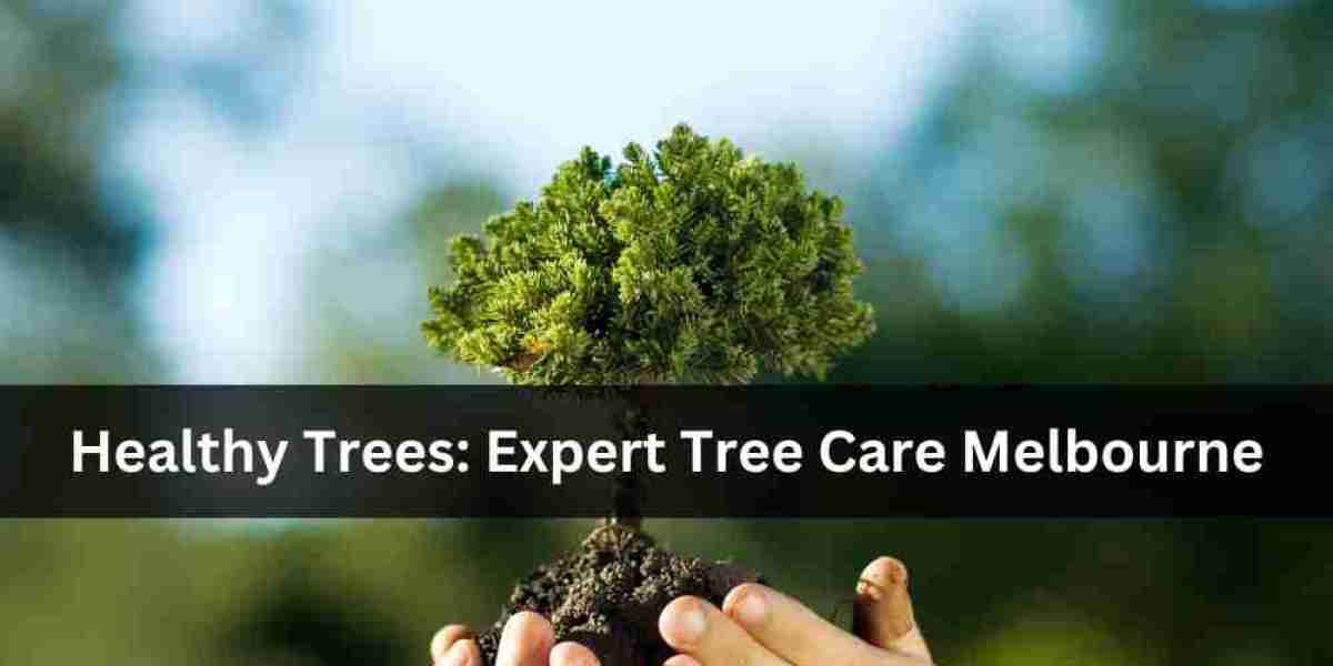 Healthy Trees: Expert Tree Care Melbourne