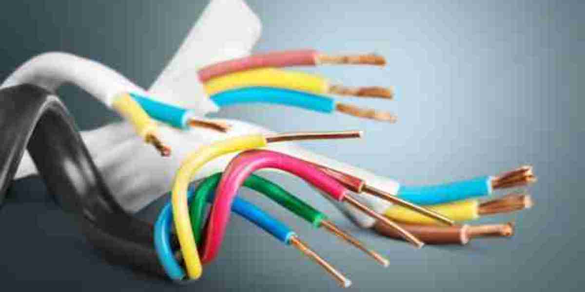 Cables Manufacturing Plant Project Report 2024: Raw Materials Cost and Profit Margin