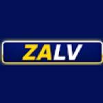 9Zalv Com