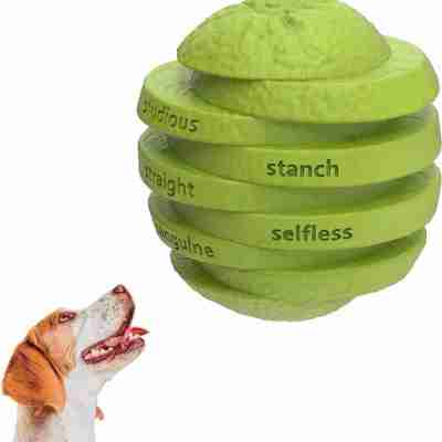 Dog Toys For Boredom Orange Shape | Interactive Pet Orange Toy Profile Picture