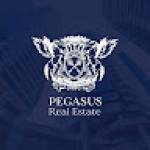 Pegasus Real Estate