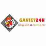 gaviet 24h