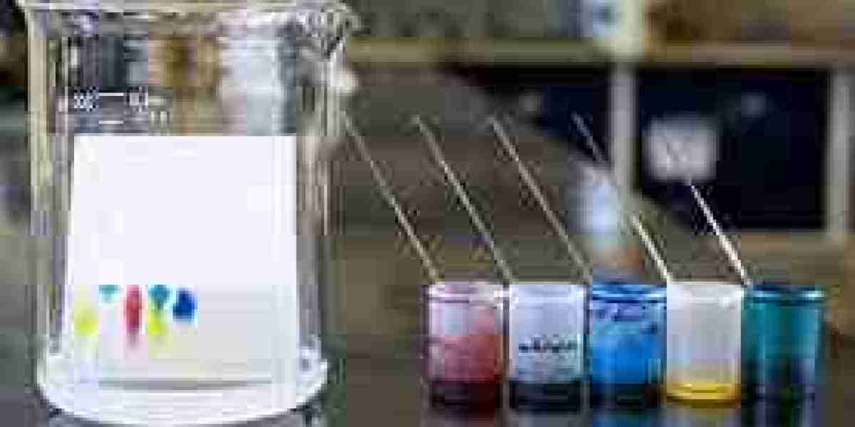 North America Chromatography Resins Market Comprehensive Analysis And Future Estimations 2032