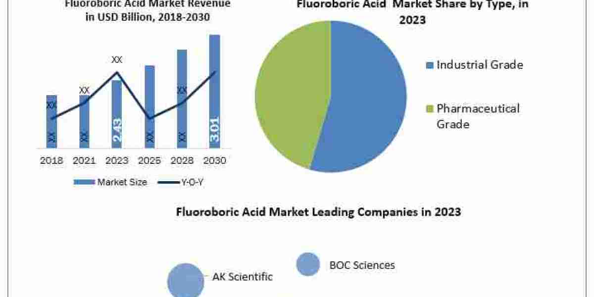 Fluoroboric Acid Market  Analysis of Key Trend, Industry Dynamics and Future Growth 2024-2030