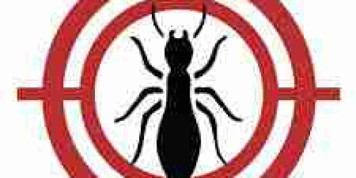 Bedbug Control: Eliminate the Unseen Invaders from Your Home