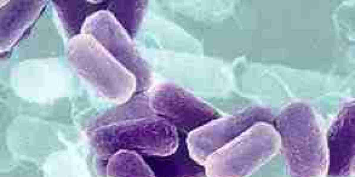 Azotobacter Market Insights, Status And Forecast to 2030