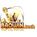 BAOWIN tech